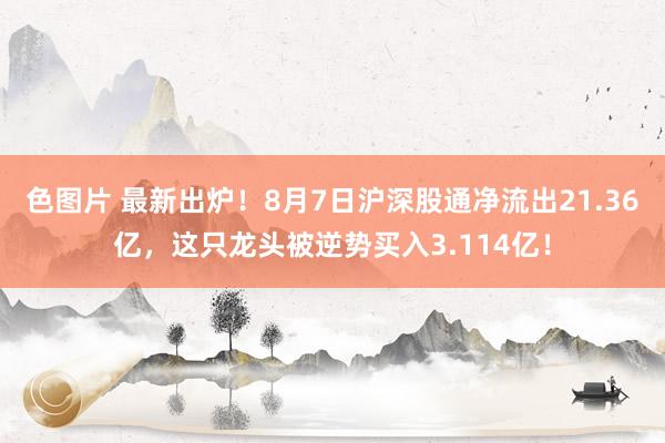 色图片 最新出炉！8月7日沪深股通净流出21.36亿，这只龙头被逆势买入3.114亿！