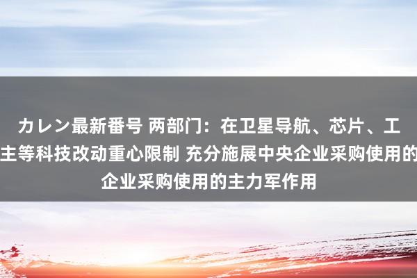 カレン最新番号 两部门：在卫星导航、芯片、工业机器东谈主等科技改动重心限制 充分施展中央企业采购使用的主力军作用