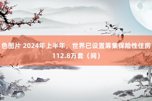 色图片 2024年上半年，世界已设置筹集保险性住房112.8万套（间）