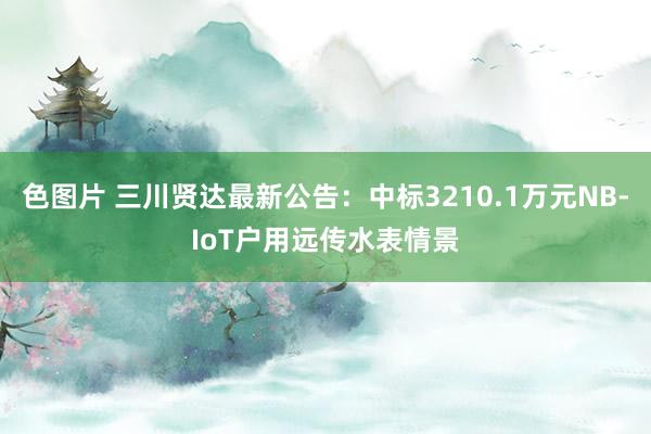 色图片 三川贤达最新公告：中标3210.1万元NB-IoT户用远传水表情景