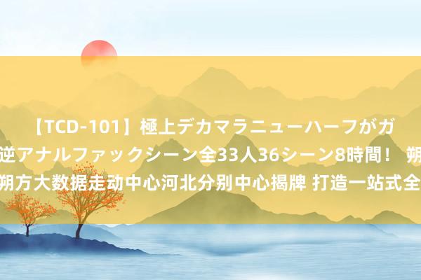 【TCD-101】極上デカマラニューハーフがガン掘り前立腺直撃快感逆アナルファックシーン全33人36シーン8時間！ 朔方大数据走动中心河北分别中心揭牌 打造一站式全经由数据身分奇迹平台