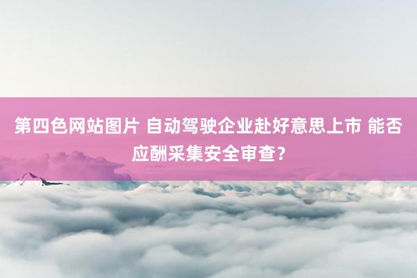 第四色网站图片 自动驾驶企业赴好意思上市 能否应酬采集安全审查？