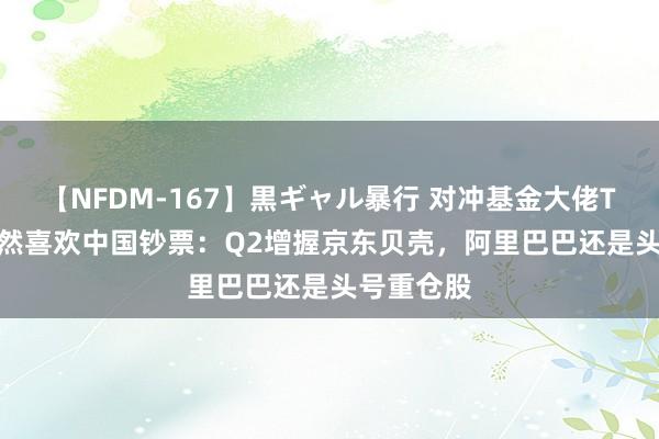 【NFDM-167】黒ギャル暴行 对冲基金大佬Tepper依然喜欢中国钞票：Q2增握京东贝壳，阿里巴巴还是头号重仓股