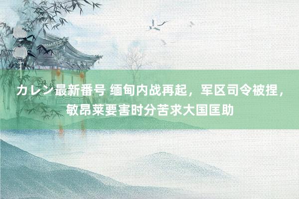 カレン最新番号 缅甸内战再起，军区司令被捏，敏昂莱要害时分苦求大国匡助