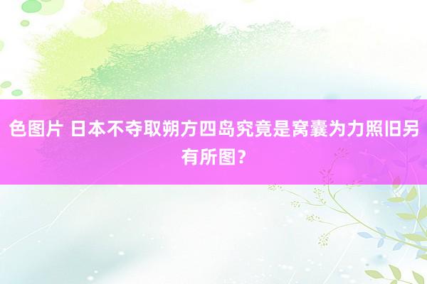 色图片 日本不夺取朔方四岛究竟是窝囊为力照旧另有所图？