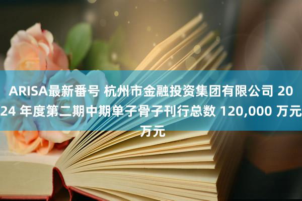 ARISA最新番号 杭州市金融投资集团有限公司 2024 年度第二期中期单子骨子刊行总数 120，000 万元