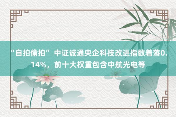 “自拍偷拍” 中证诚通央企科技改进指数着落0.14%，前十大权重包含中航光电等