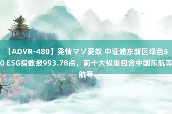 【ADVR-480】発情マゾ愛奴 中证浦东新区绿色50 ESG指数报993.78点，前十大权重包含中国东航等