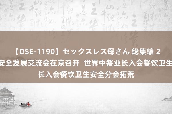 【DSE-1190】セックスレス母さん 総集編 2024餐饮卫生安全发展交流会在京召开  世界中餐业长入会餐饮卫生安全分会拓荒