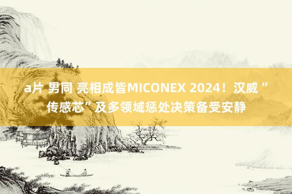 a片 男同 亮相成皆MICONEX 2024！汉威“传感芯”及多领域惩处决策备受安静