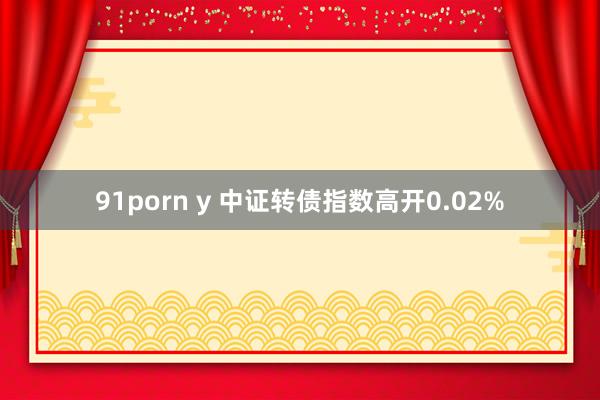 91porn y 中证转债指数高开0.02%