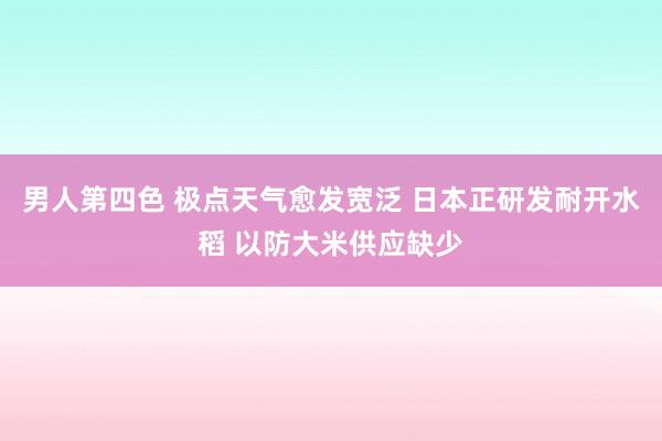 男人第四色 极点天气愈发宽泛 日本正研发耐开水稻 以防大米供应缺少