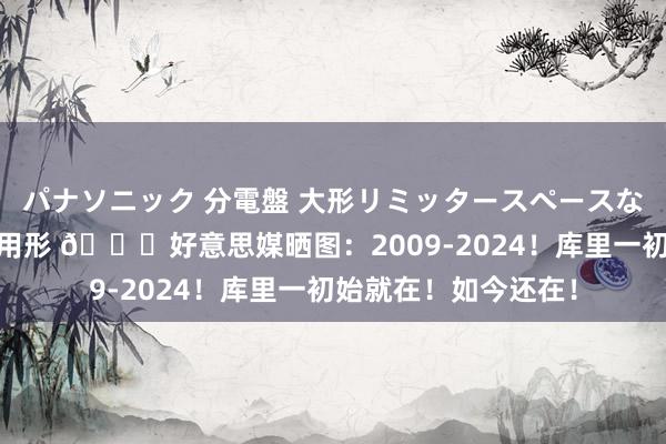 パナソニック 分電盤 大形リミッタースペースなし 露出・半埋込両用形 💓好意思媒晒图：2009-2024！库里一初始就在！如今还在！