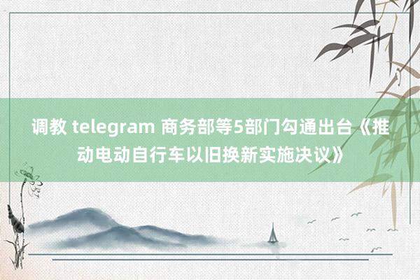 调教 telegram 商务部等5部门勾通出台《推动电动自行车以旧换新实施决议》