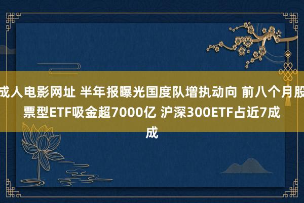 成人电影网址 半年报曝光国度队增执动向 前八个月股票型ETF吸金超7000亿 沪深300ETF占近7成