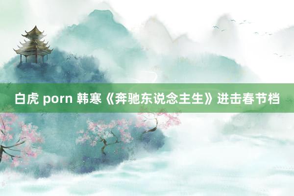 白虎 porn 韩寒《奔驰东说念主生》进击春节档