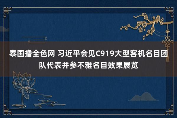 泰国撸全色网 习近平会见C919大型客机名目团队代表并参不雅名目效果展览